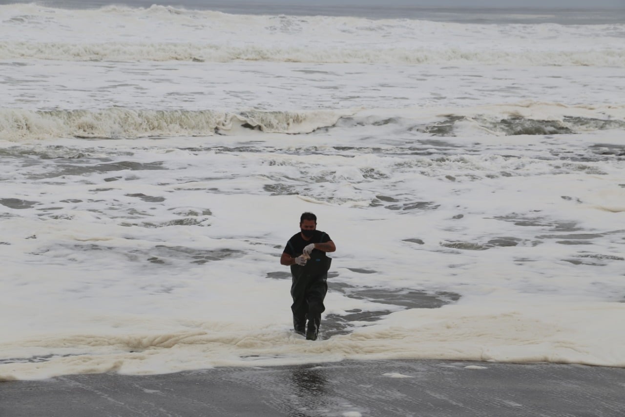 Cinco playas de Tacna fueron monitoreadas por incremento de espuma y desagradable olor
