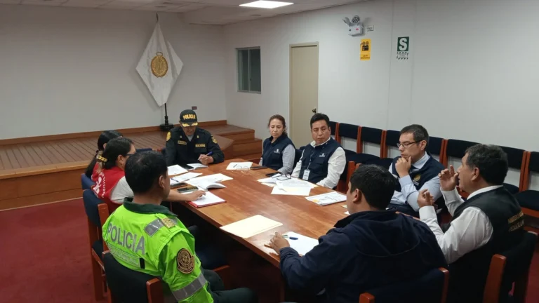restricciones electorales