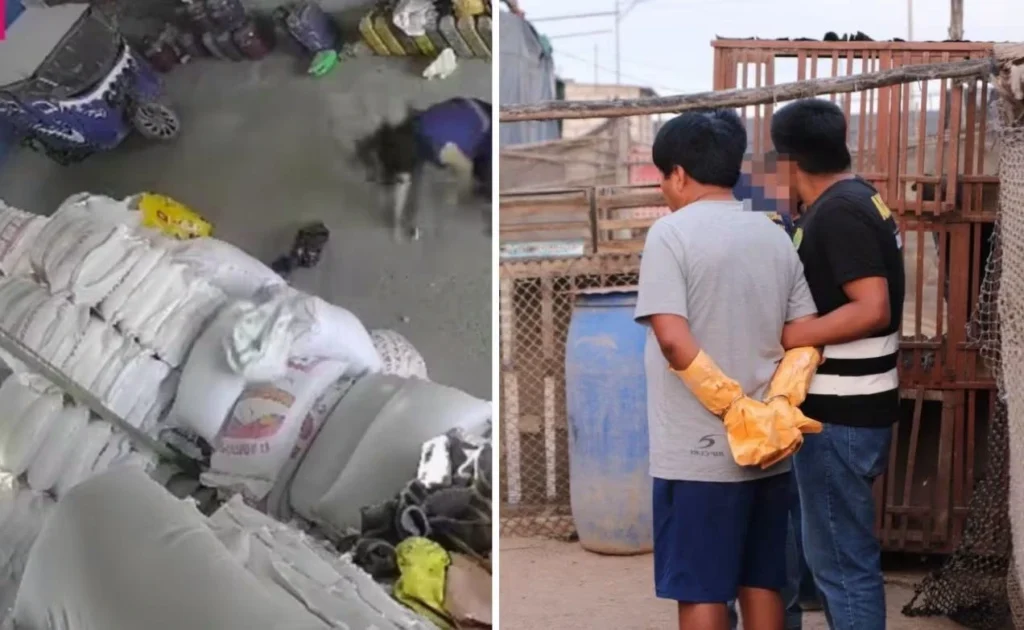 Modesto Zea Robo en Tacna