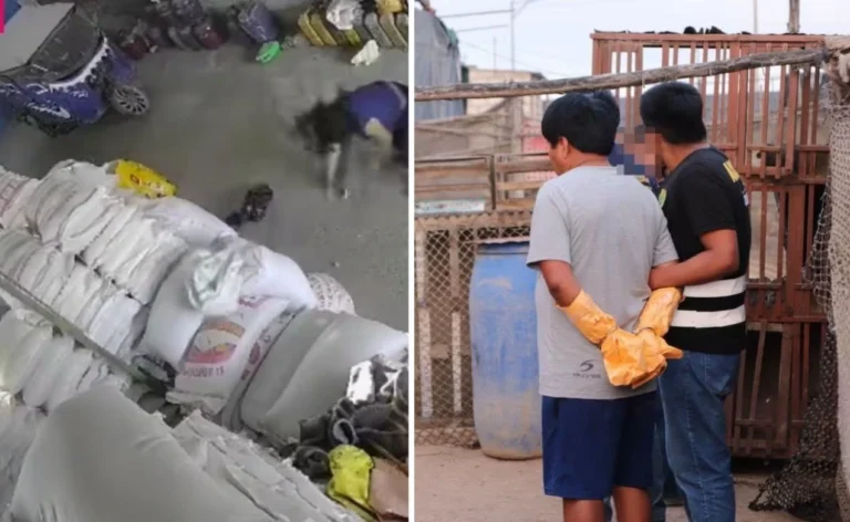 Modesto Zea Robo en Tacna